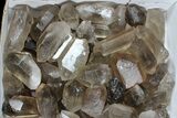 Lot: Lbs Smoky Quartz Crystals (-) - Brazil #77829-1